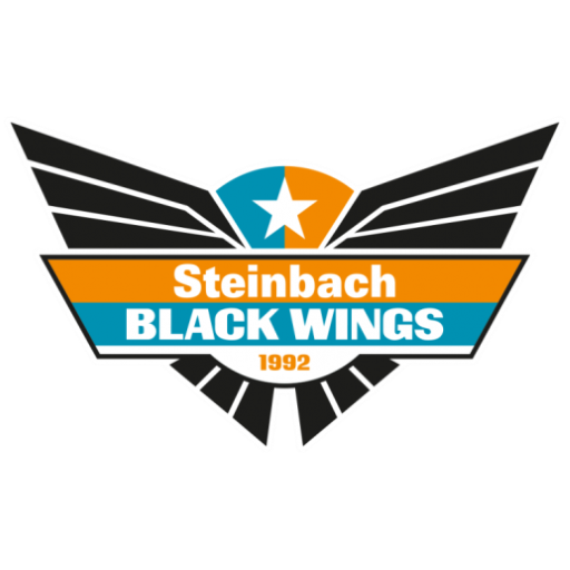 Steinbach Black Wings 1992 artwork 1