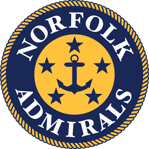 Norfolk Admirals artwork 1