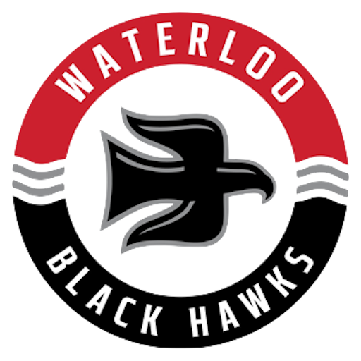 Waterloo Black Hawks artwork 1