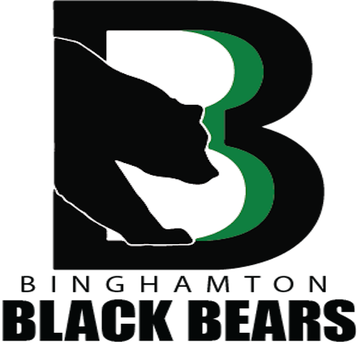 Binghamton Black Bears artwork 1