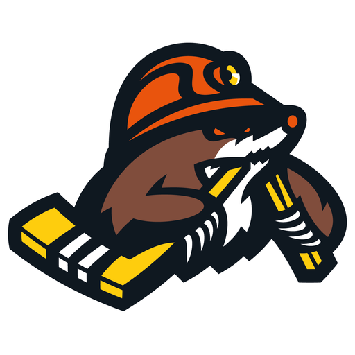 HC Shakhtyor Soligorsk badge