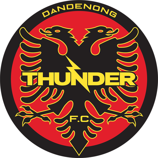 Dandenong Thunder SC badge