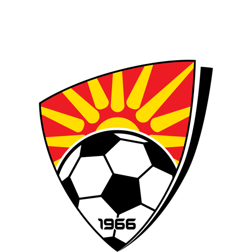 Broadmeadow Magic FC artwork 1