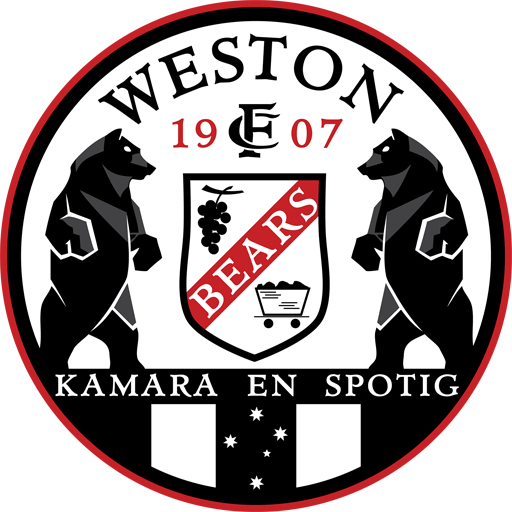 Weston Bears FC artwork 1