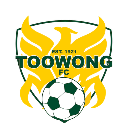 Toowong FC artwork 1
