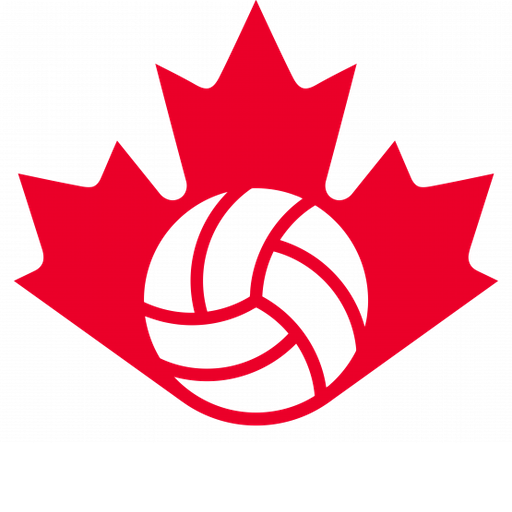 Canada Volleyball artwork 1