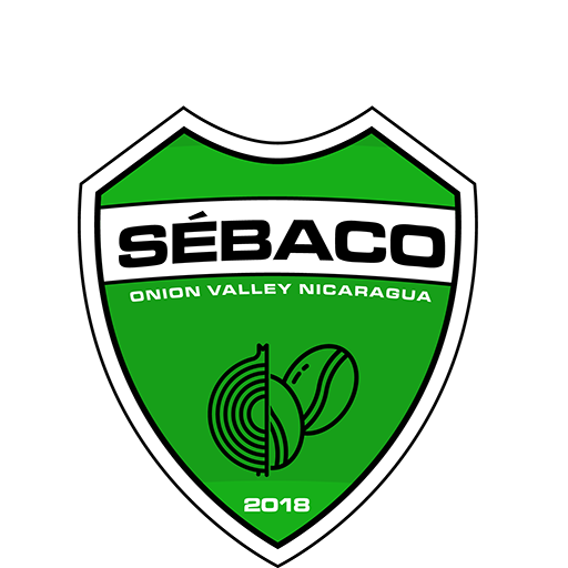 Deportivo Sebaco badge
