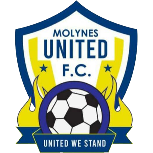 Molynes United artwork 1