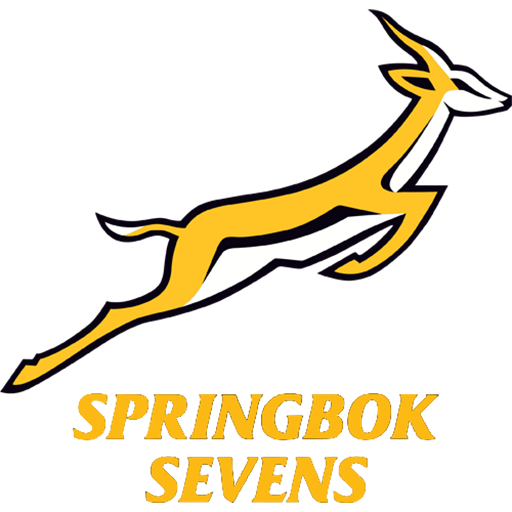 South Africa 7s Rugby artwork 1
