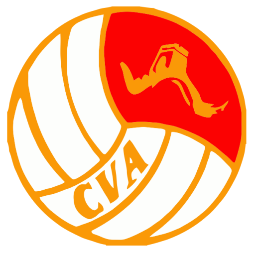 China Volleyball badge