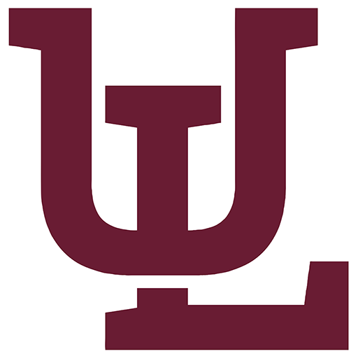 Algodoneros de Unión Laguna artwork 1