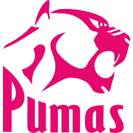 MRU. New Nation Pumas artwork 1