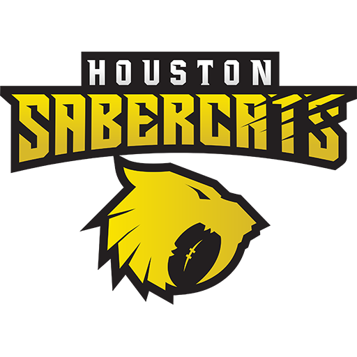Houston SaberCats artwork 1