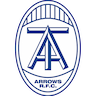 Toronto Arrows