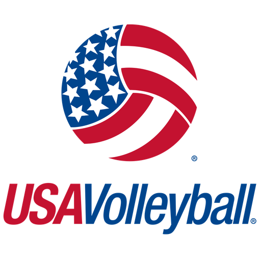 USA Volleyball Women artwork 1