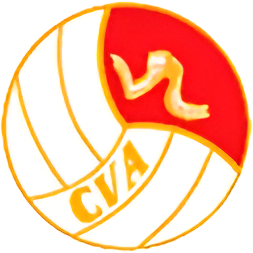 China Volleyball Women artwork 1