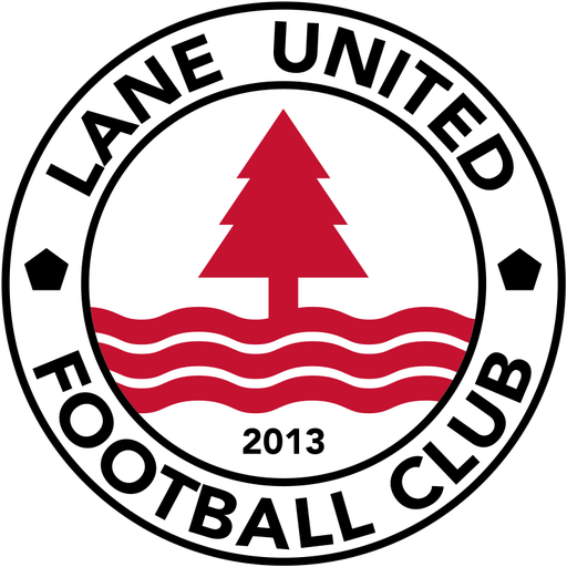 Lane United FC artwork 1