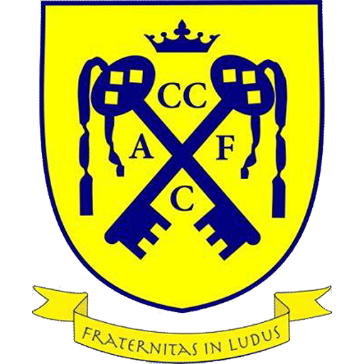 Cwmbran Celtic artwork 1