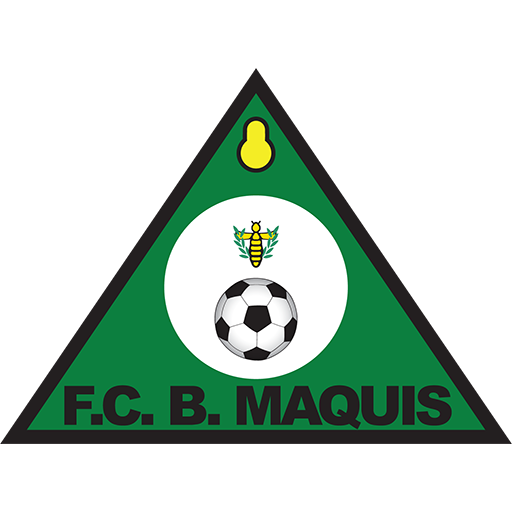 F.C. Bravos do Maquis artwork 1