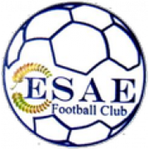 ESAE FC artwork 1