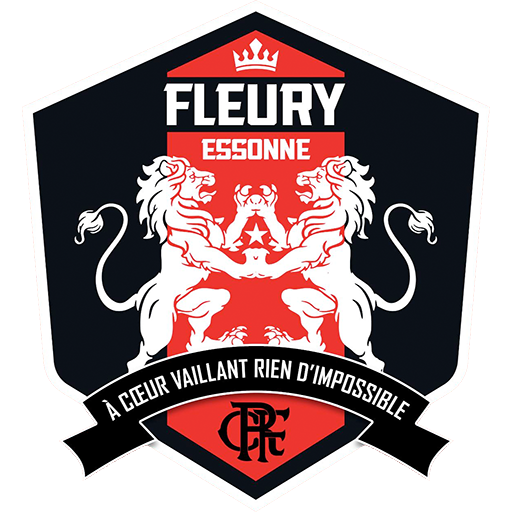 FC Fleury 91 artwork 1