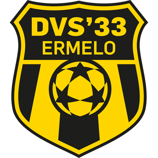 DVS 33 Ermelo artwork 1