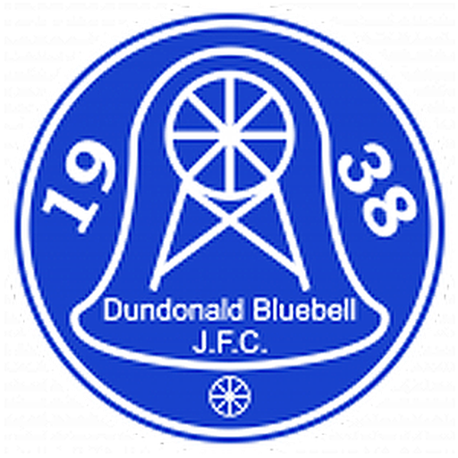 Dundonald Bluebell F.C. artwork 1