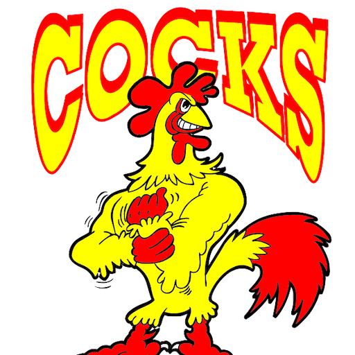Riihimäki Cocks artwork 1