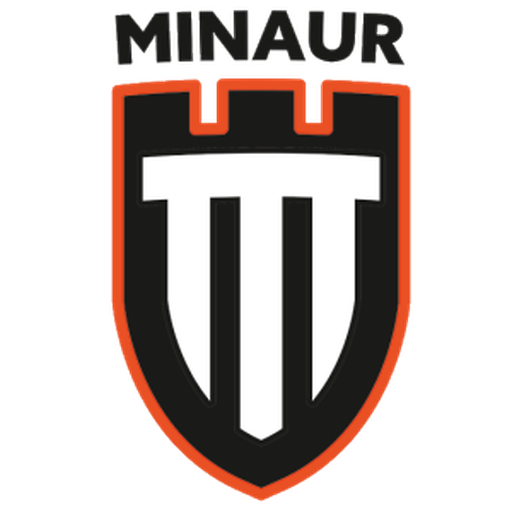 CS Minaur Baia Mare artwork 1