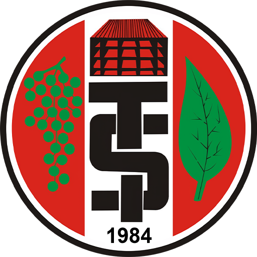 Turgutluspor badge