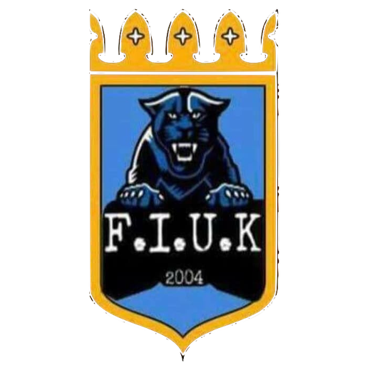 FIUK artwork 1