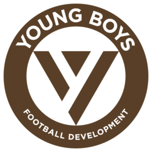 Young Boys FD badge