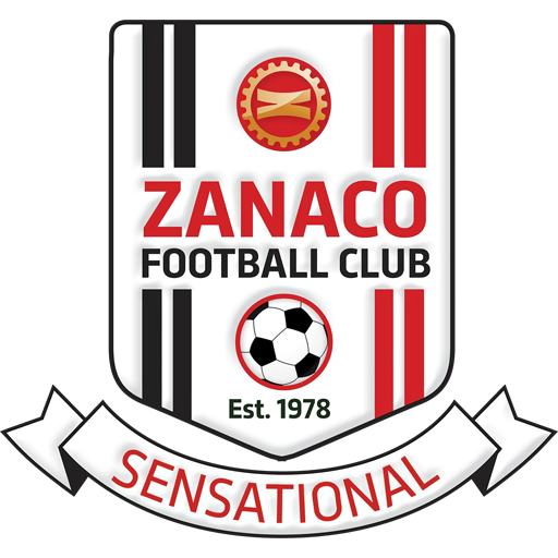Zanaco artwork 1