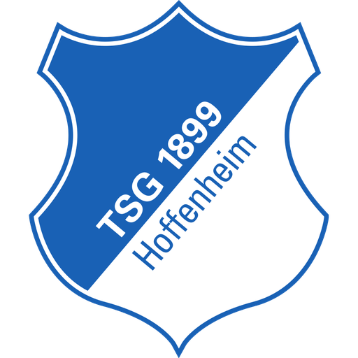 1899 Hoffenheim Women artwork 1