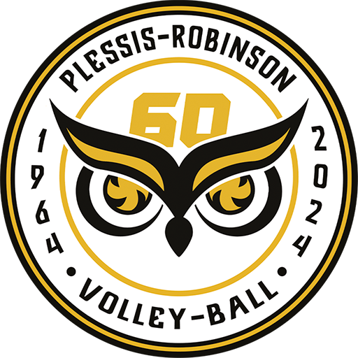 Plessis Robinson Volley Ball artwork 1