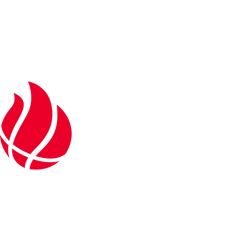Petkim Spor badge