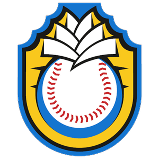 Tigres de Ciego de Ávila artwork 1