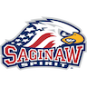 Saginaw Spirit