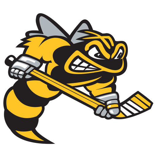 Sarnia Sting badge