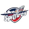 Windsor Spitfires