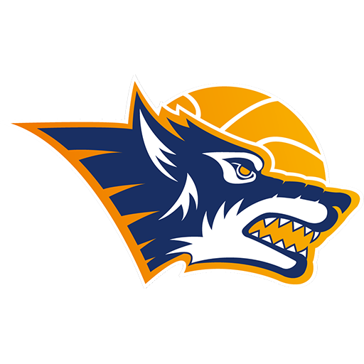 Rostock Seawolves badge