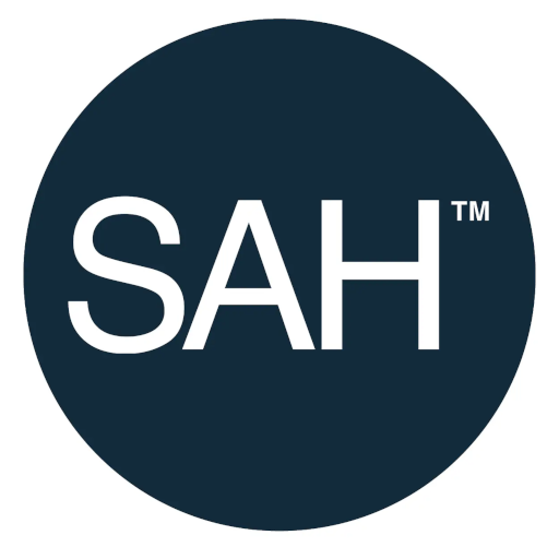 Skanderborg Aarhus Håndbold artwork 1