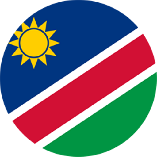 Namibia Athletics badge