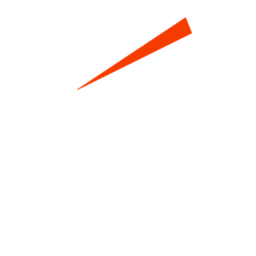 Trent Rockets badge
