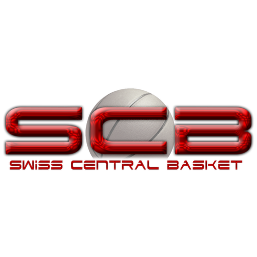Swiss Central Basket artwork 1