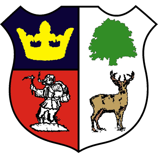Cinderford Town badge