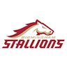 Birmingham Stallions