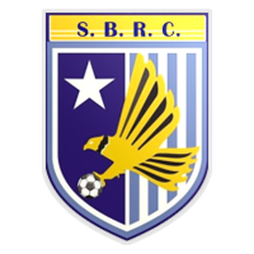 Somerset Eagles badge