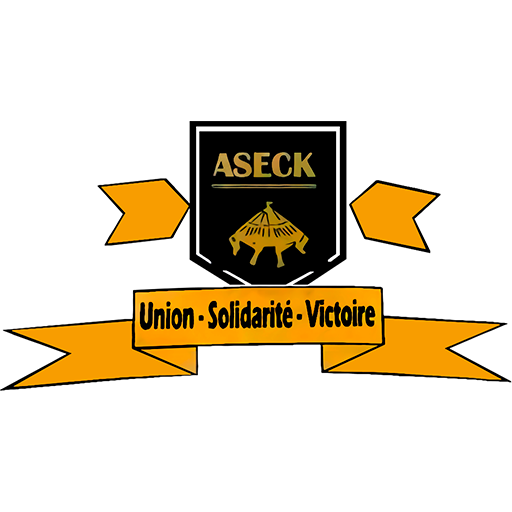 ASEC Koudougou artwork 1