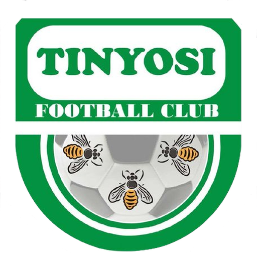Tinyosi artwork 1